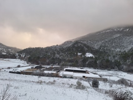 Cliquez pour agrandir l'image